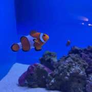 ヒメ日記 2025/11/09 16:13 投稿 みさき non-non 神田(ノンノン神田)