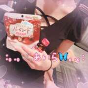 ヒメ日記 2024/12/30 02:17 投稿 あいら アラカルト