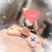 ヒメ日記 2025/06/13 07:11 投稿 あいら アラカルト