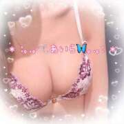 ヒメ日記 2026/02/24 03:20 投稿 あいら アラカルト