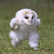 ヒメ日記 2025/03/31 17:58 投稿 佐藤 池田マッサージ