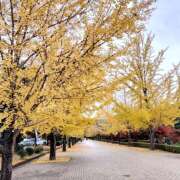 ヒメ日記 2025/12/01 09:19 投稿 佐藤 池田マッサージ