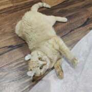 ヒメ日記 2025/12/29 13:00 投稿 佐藤 池田マッサージ