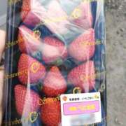 佐藤 春分の日🌸 池田マッサージ