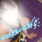 ヒメ日記 2026/06/20 08:58 投稿 梨本さえ(なしもとさえ) 神戸妻