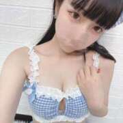 ヒメ日記 2025/01/14 14:17 投稿 ひよ E+アイドルスクール