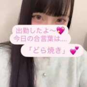 ヒメ日記 2025/02/14 15:15 投稿 ひよ E+アイドルスクール