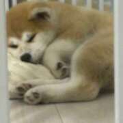 ヒメ日記 2025/03/18 21:55 投稿 かんな アラモード