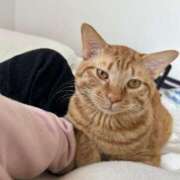 ヒメ日記 2025/03/26 11:40 投稿 かんな アラモード