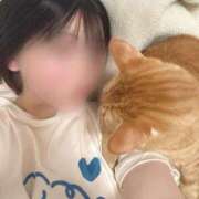 ヒメ日記 2025/04/26 23:42 投稿 かんな アラモード