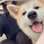 ヒメ日記 2025/04/27 14:05 投稿 かんな アラモード