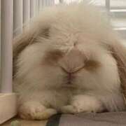 ヒメ日記 2025/10/04 07:30 投稿 かんな アラモード