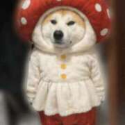 ヒメ日記 2026/01/12 09:57 投稿 かんな アラモード