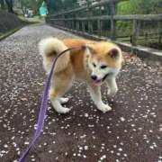 ヒメ日記 2026/03/01 08:59 投稿 かんな アラモード