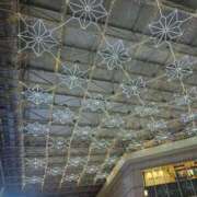 ヒメ日記 2025/01/19 06:02 投稿 ともえ 鹿児島ちゃんこ 天文館店