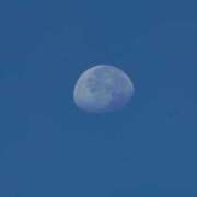 ヒメ日記 2025/10/11 07:21 投稿 ともえ 鹿児島ちゃんこ 天文館店