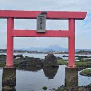 ヒメ日記 2026/01/30 15:41 投稿 ともえ 鹿児島ちゃんこ 天文館店