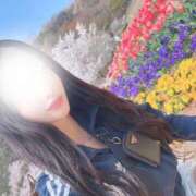 ヒメ日記 2025/04/12 02:33 投稿 うらら【ハイランク清楚】 STELLA TOKYO－ステラトウキョウ－