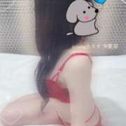 ヒメ日記 2025/04/27 16:04 投稿 うらら【ハイランク清楚】 STELLA TOKYO－ステラトウキョウ－