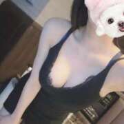 ヒメ日記 2025/05/08 03:47 投稿 うらら【ハイランク清楚】 STELLA TOKYO－ステラトウキョウ－