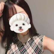 ヒメ日記 2025/10/23 22:26 投稿 うらら【ハイランク清楚】 STELLA TOKYO－ステラトウキョウ－