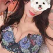 ヒメ日記 2025/10/28 17:38 投稿 うらら【ハイランク清楚】 STELLA TOKYO－ステラトウキョウ－