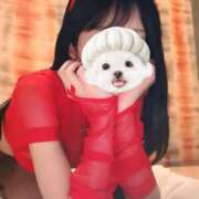 ヒメ日記 2025/10/30 01:40 投稿 うらら【ハイランク清楚】 STELLA TOKYO－ステラトウキョウ－