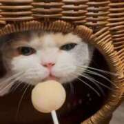 ヒメ日記 2026/04/08 17:50 投稿 うらら【ハイランク清楚】 STELLA TOKYO－ステラトウキョウ－