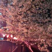 ヒメ日記 2025/04/07 18:55 投稿 みやま an_an（アンアン）