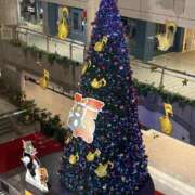 ヒメ日記 2025/12/09 00:16 投稿 るる 隙のあるエステ