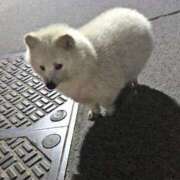 ヒメ日記 2025/02/22 14:55 投稿 みえ 夢の国デリランド