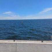 ヒメ日記 2025/08/31 10:15 投稿 みえ 夢の国デリランド