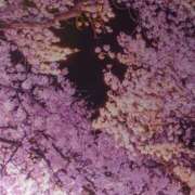 ヒメ日記 2025/09/14 08:05 投稿 みえ 夢の国デリランド