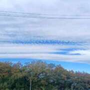 ヒメ日記 2025/11/24 20:15 投稿 みえ 夢の国デリランド