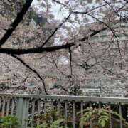 ヒメ日記 2025/04/02 19:05 投稿 りか パイセン