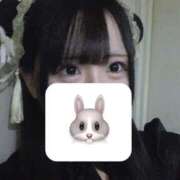 ヒメ日記 2025/04/25 21:42 投稿 りか パイセン