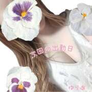 ヒメ日記 2025/04/12 17:09 投稿 ゆりあ　あの伝説嬢が再び よかろうもん下関本店