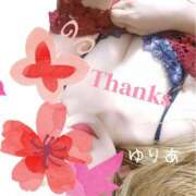 ヒメ日記 2025/05/29 16:09 投稿 ゆりあ　あの伝説嬢が再び よかろうもん下関本店