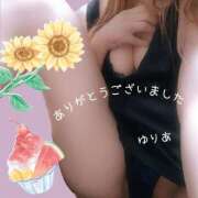 ヒメ日記 2025/07/31 16:19 投稿 ゆりあ　あの伝説嬢が再び よかろうもん下関本店