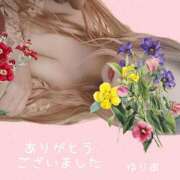 ヒメ日記 2025/09/25 16:39 投稿 ゆりあ　あの伝説嬢が再び よかろうもん下関本店