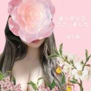 ヒメ日記 2026/03/06 20:59 投稿 ゆりあ　あの伝説嬢が再び よかろうもん下関本店