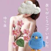 ヒメ日記 2026/03/14 15:39 投稿 ゆりあ　あの伝説嬢が再び よかろうもん下関本店