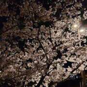 ヒメ日記 2026/04/12 22:29 投稿 ゆりあ　あの伝説嬢が再び よかろうもん下関本店