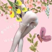 ヒメ日記 2026/04/16 15:24 投稿 ゆりあ　あの伝説嬢が再び よかろうもん下関本店