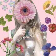 ヒメ日記 2026/04/22 16:39 投稿 ゆりあ　あの伝説嬢が再び よかろうもん下関本店