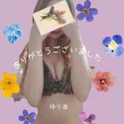 ヒメ日記 2026/08/02 17:29 投稿 ゆりあ　あの伝説嬢が再び よかろうもん下関本店