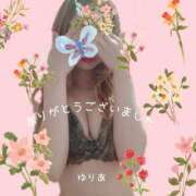 ヒメ日記 2026/08/16 18:29 投稿 ゆりあ　あの伝説嬢が再び よかろうもん下関本店