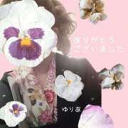 ヒメ日記 2026/08/25 15:38 投稿 ゆりあ　あの伝説嬢が再び よかろうもん下関本店