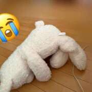 ヒメ日記 2025/05/17 07:30 投稿 ともみ CECIL