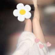 ヒメ日記 2025/04/29 15:26 投稿 みはる ZERO